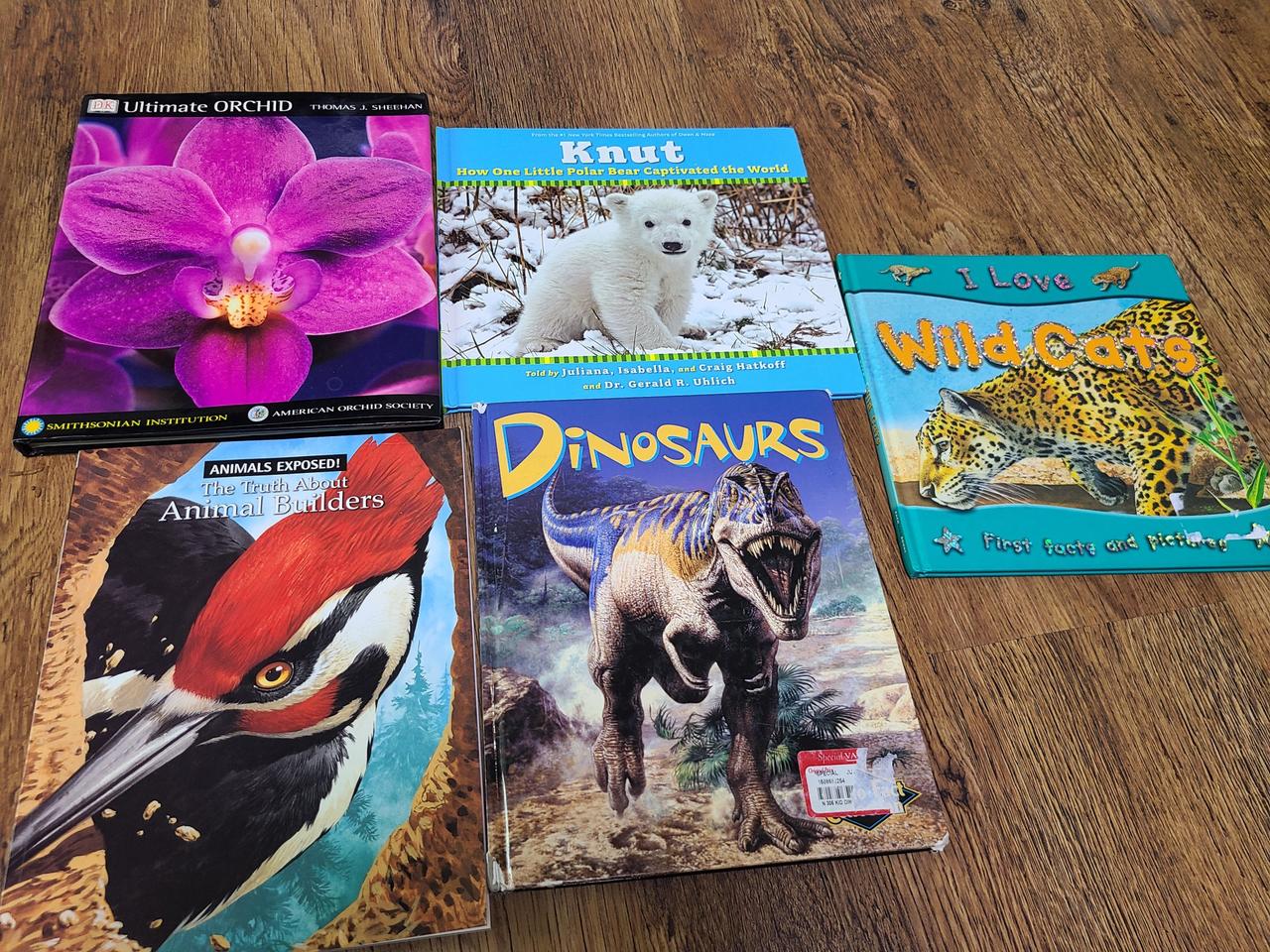 키즈영어3 : 영어원서,영어동화책5권