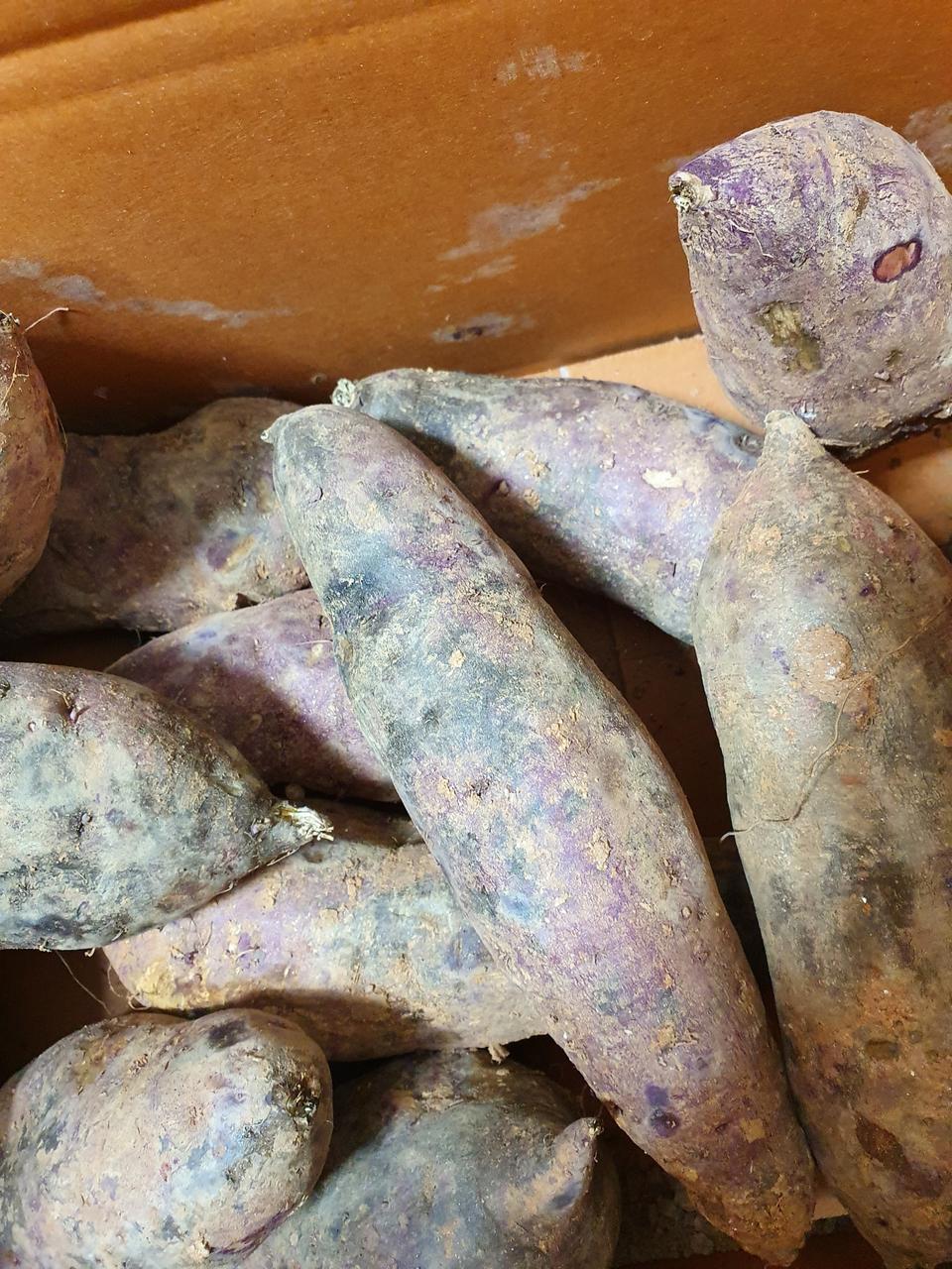 (못난이 얼룩)해남황토고구마