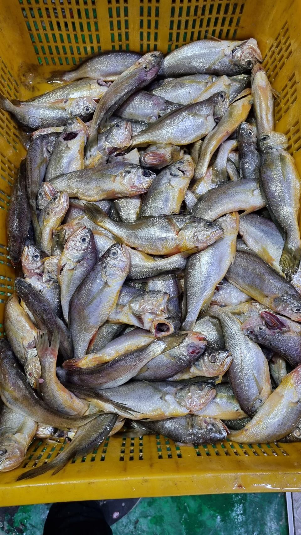 파조기 판매합니다.