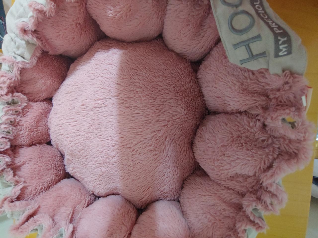 반려 집 쿠션 방석 한번 세탁만함 안썼어요