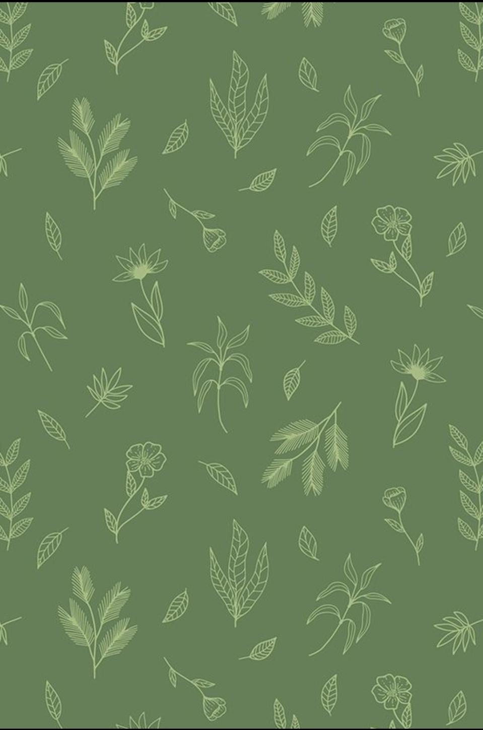 타로점⸺유료상담소@