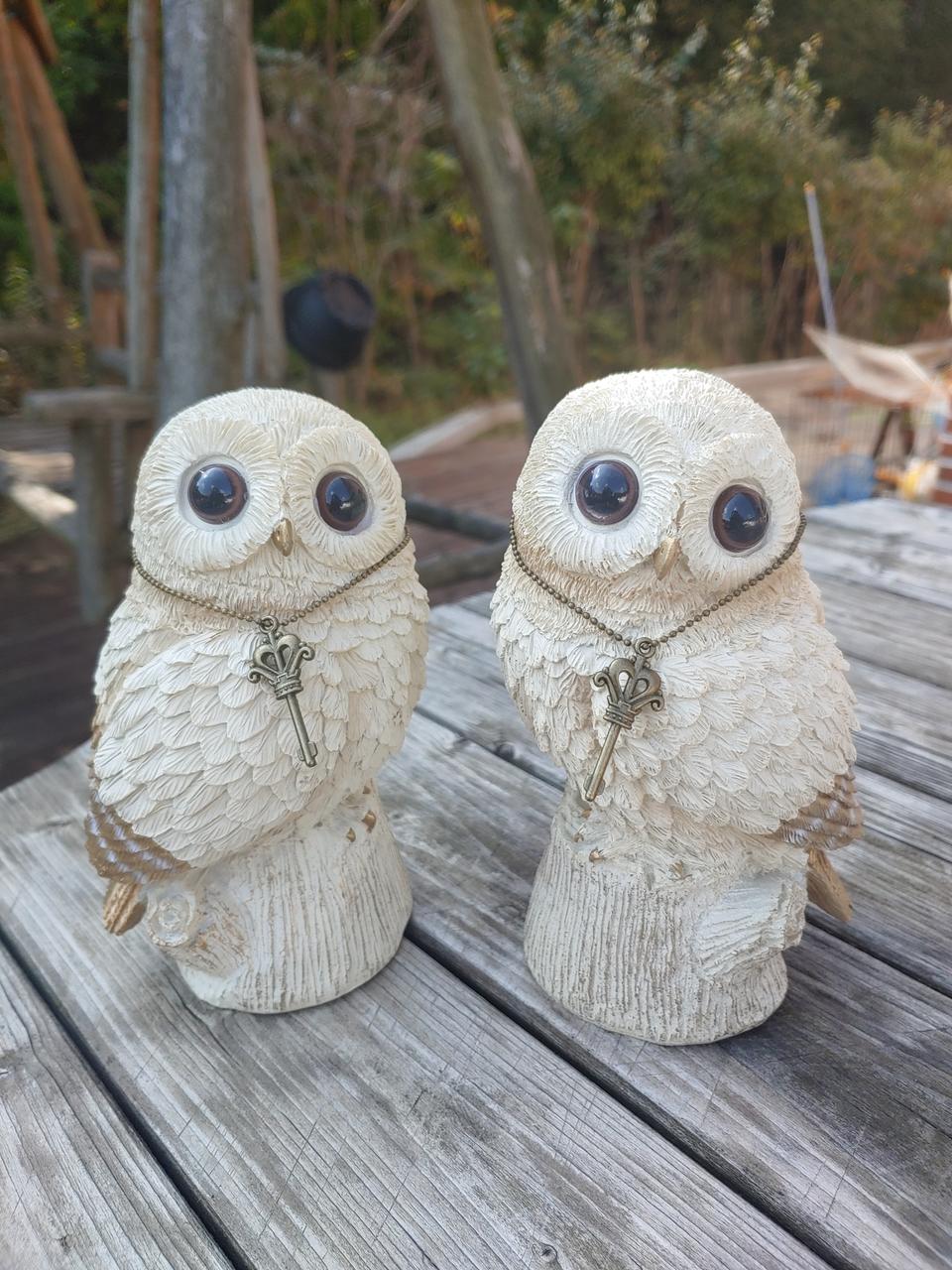 화이트 깜찍 부엉이세트