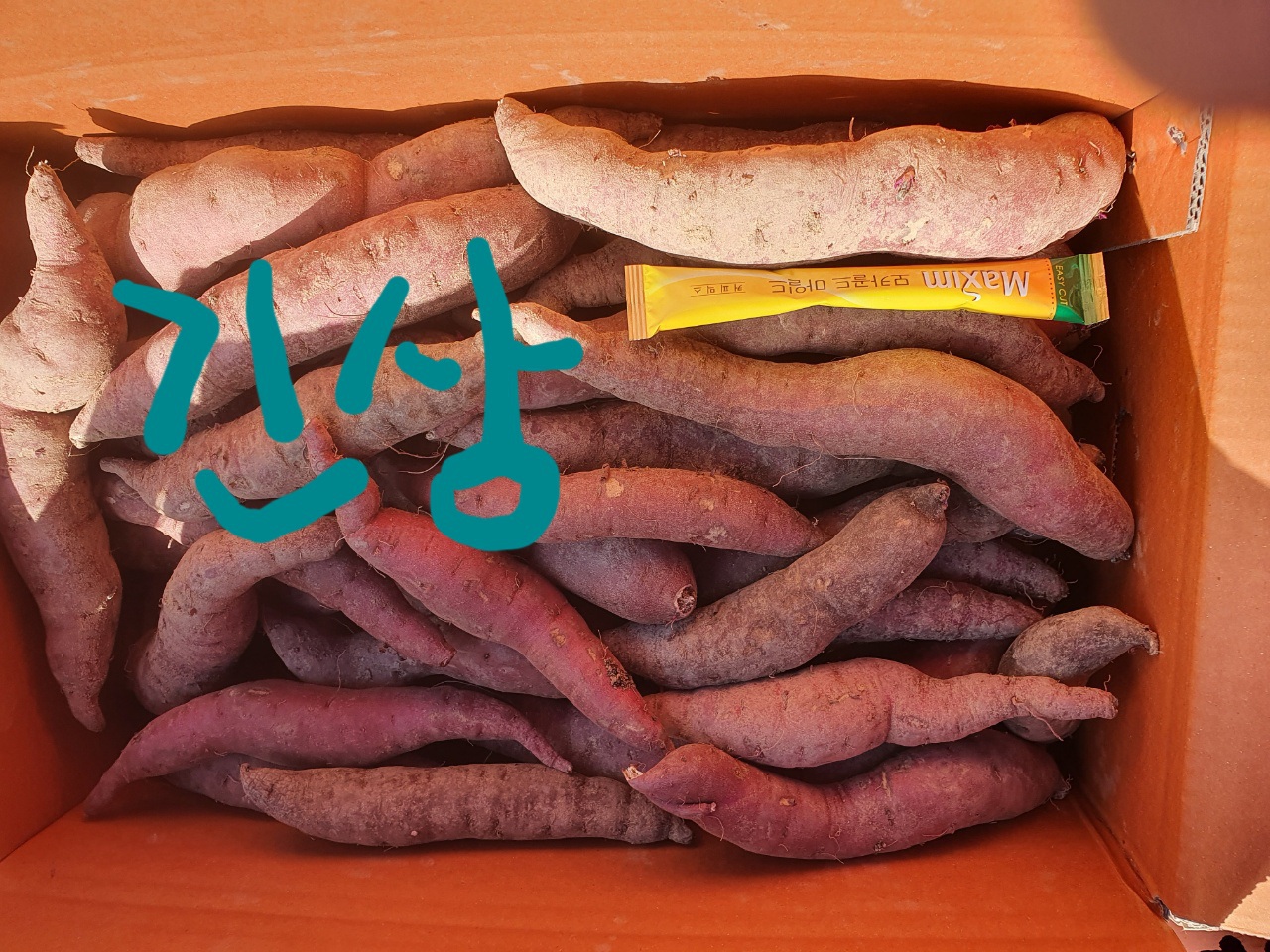 해남고구마 하사이즈2박스