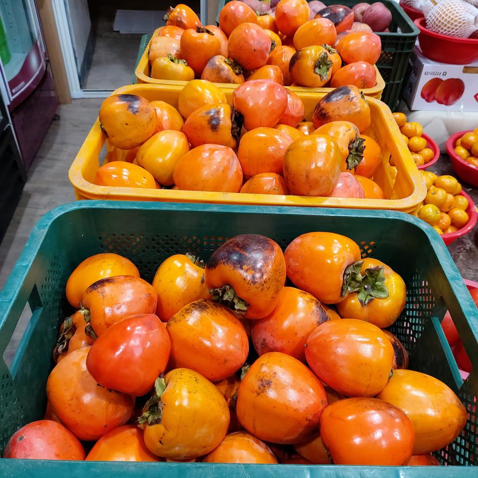 전남 영암 대봉감 특대사이즈