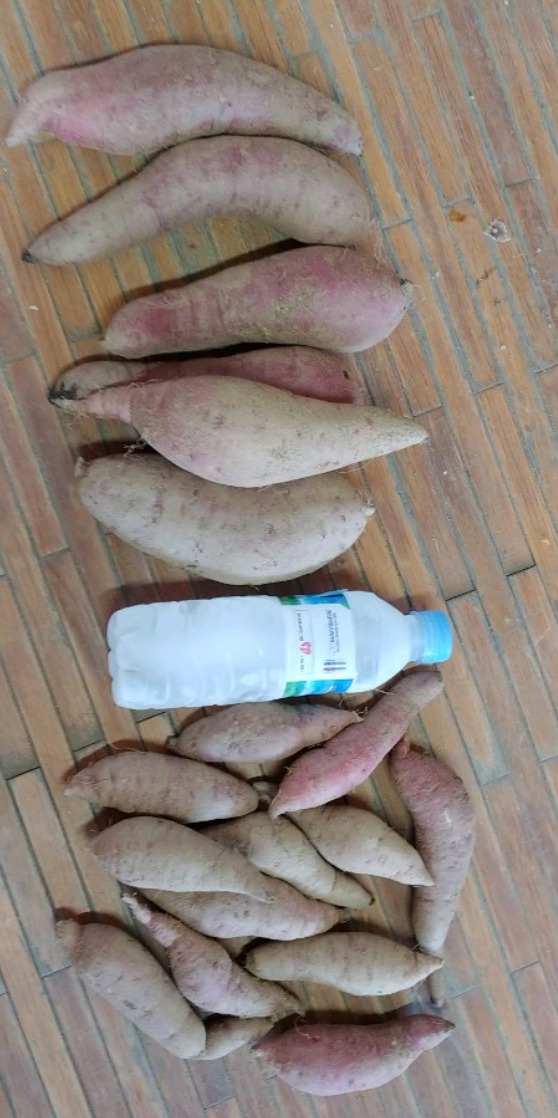 못난이 고구마 긴 사이즈 5kg