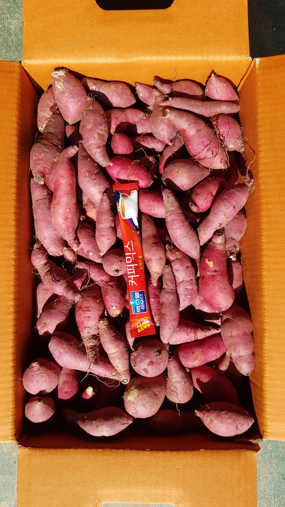 끌고구마 10kg 무료배송 한입고구마