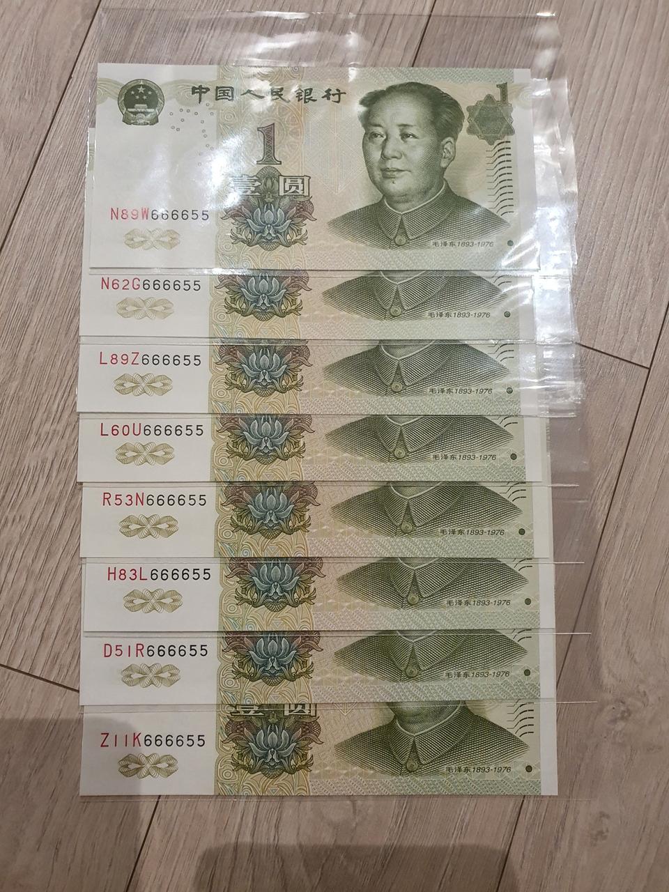 1위안 8쌍둥이 (바이너리)