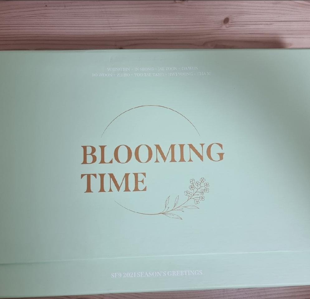 sf9 2021 시즌그리팅