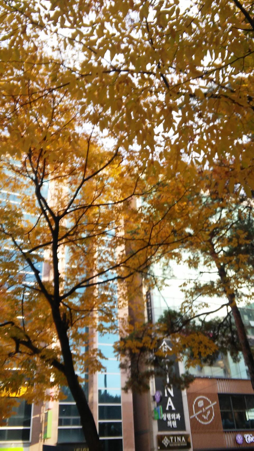 구형 중고 노트북 넷북 판매함 서울역이나 지하철 봉천역에서