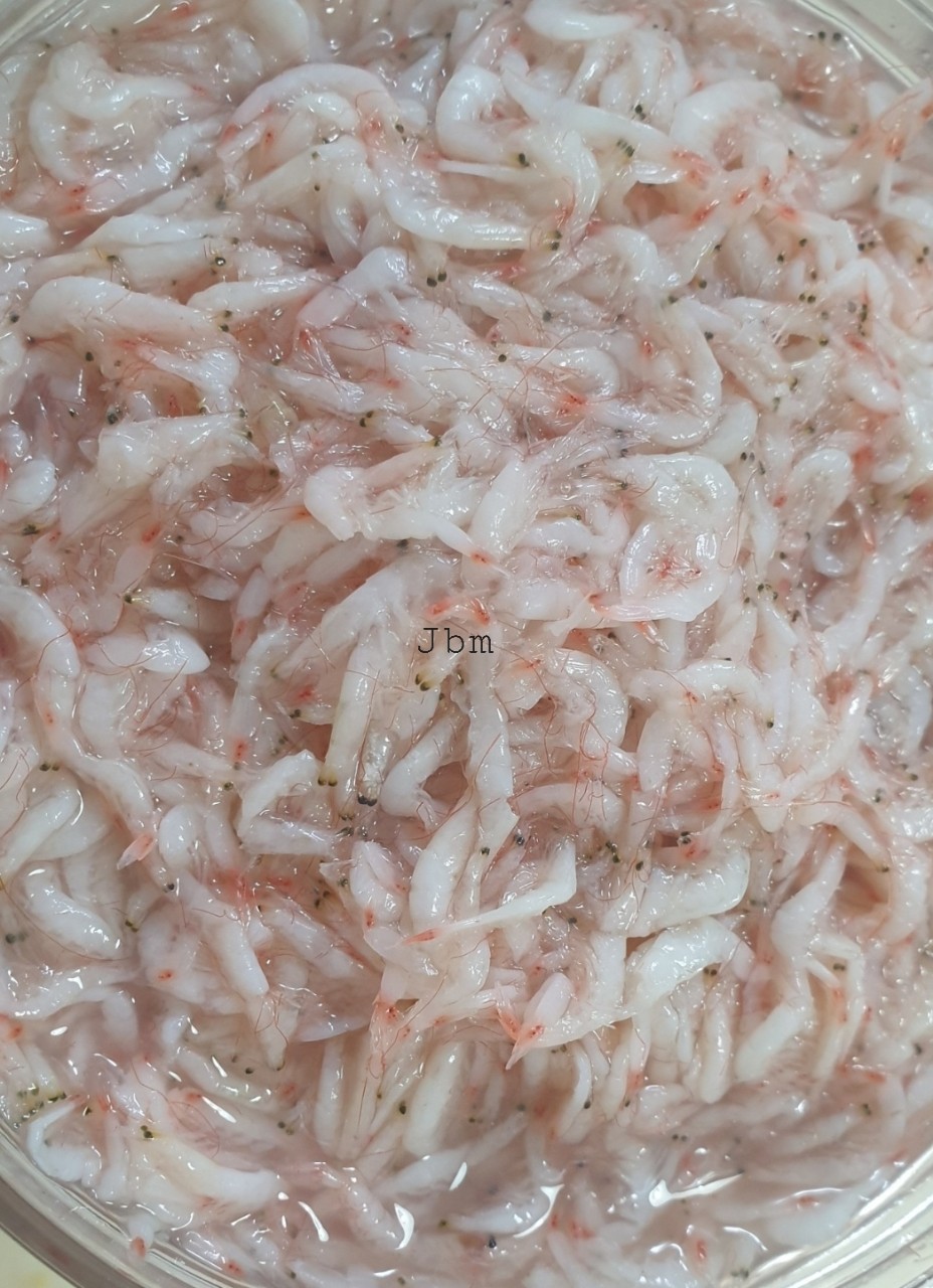 강화도 참 새우젓