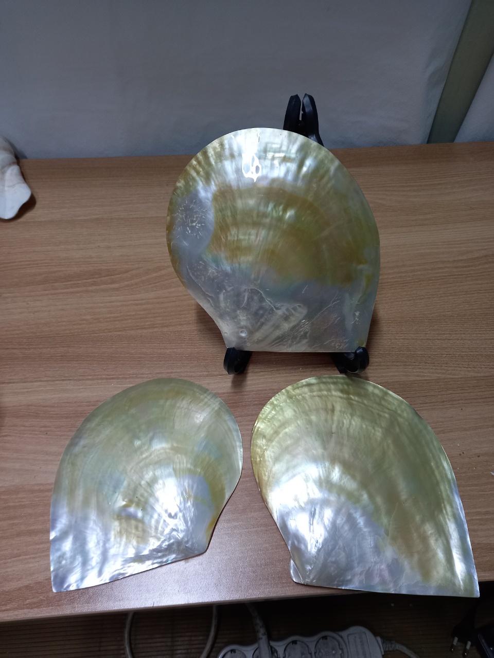 대왕조개장식품 소라장식소품 자개장식 4점