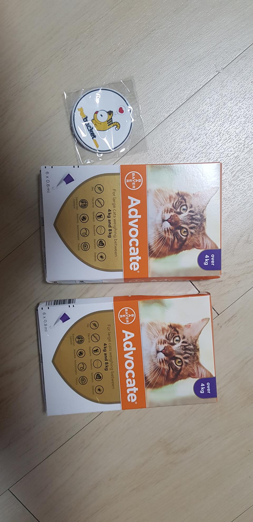 바이엘 애드보킷 심장사상충