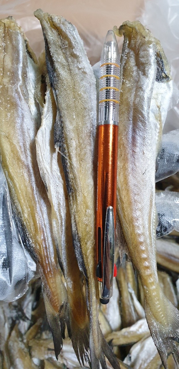 두절 반건조 명태노가리