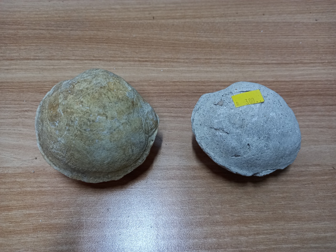 조개장식품 조개소품