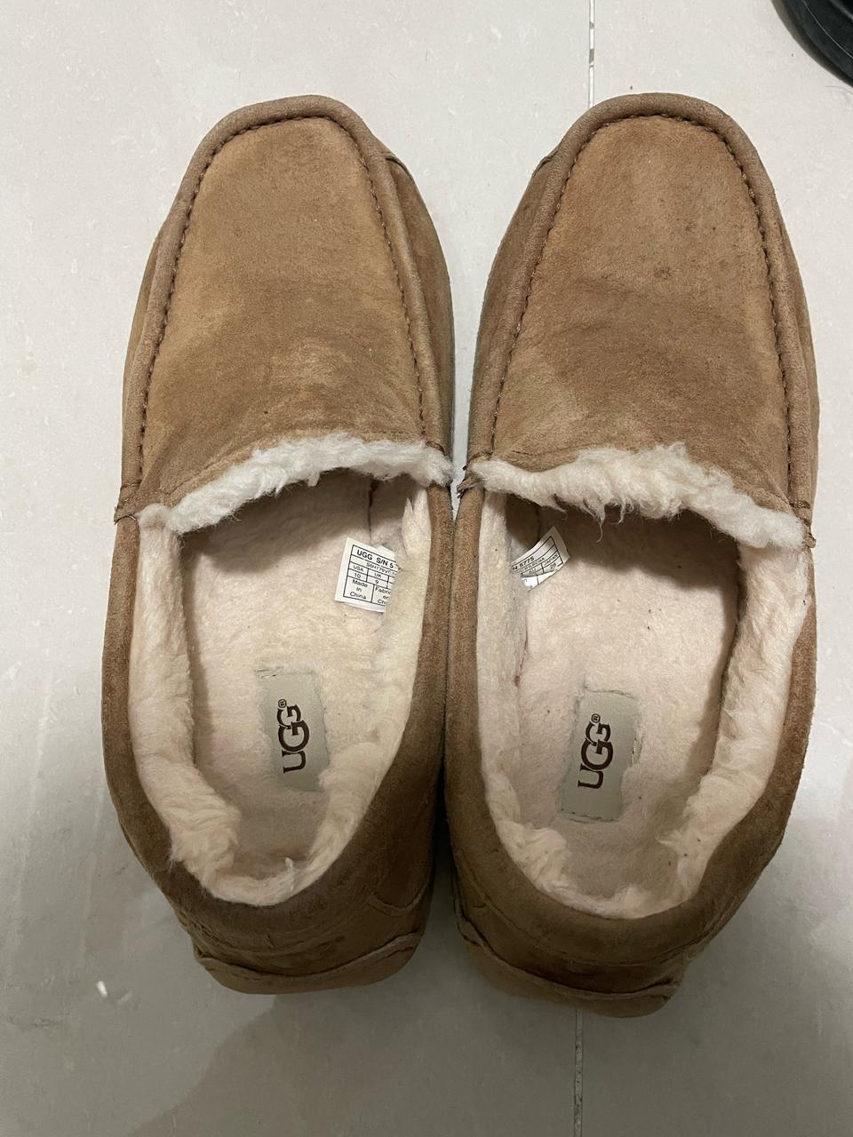 어그 남성 ASCOT SLIPPER 체슈넛