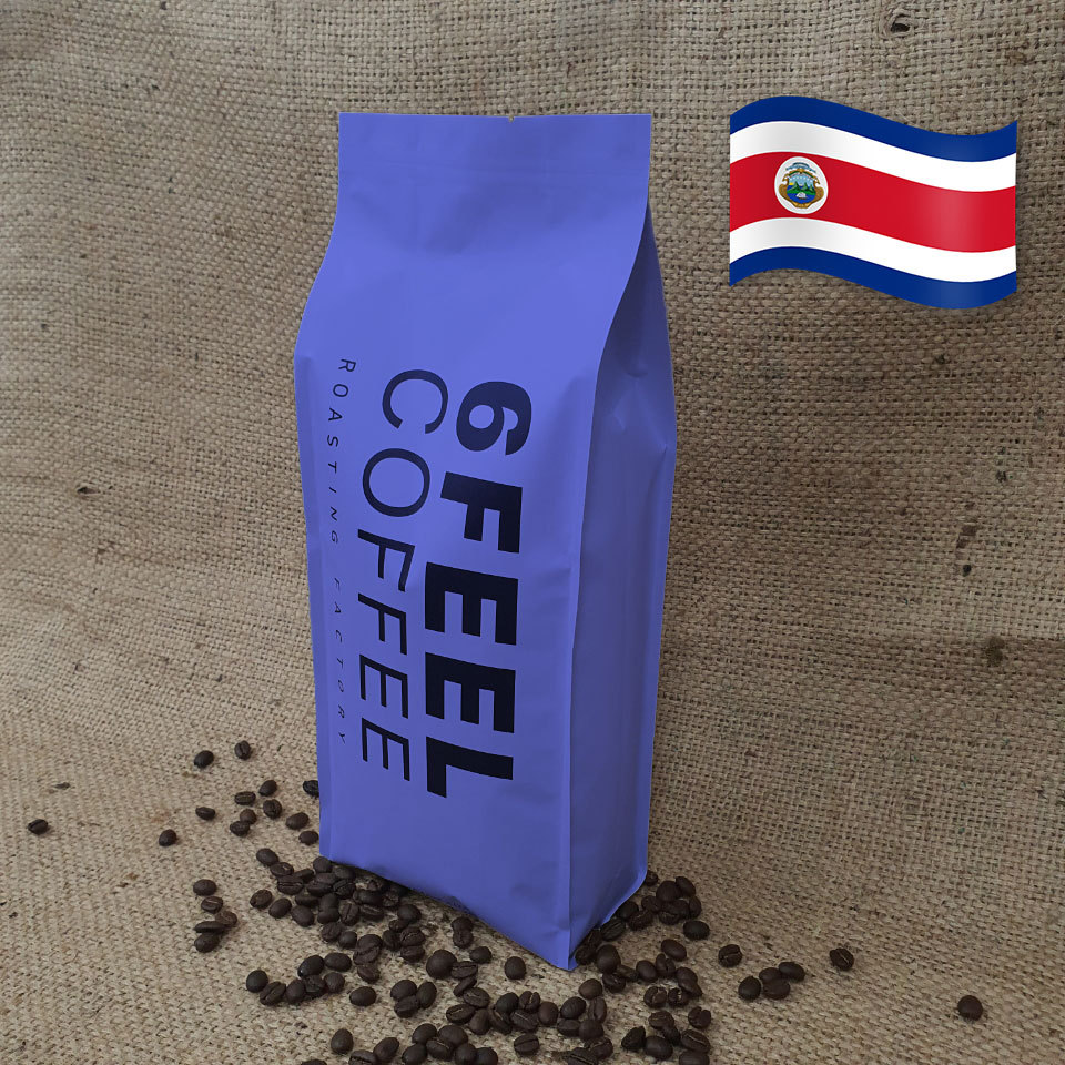 코스타리카 따라주, 과테말라 안티구아 원두 커피 판매