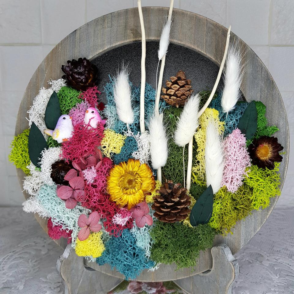 스칸디아모스와 프리저브드