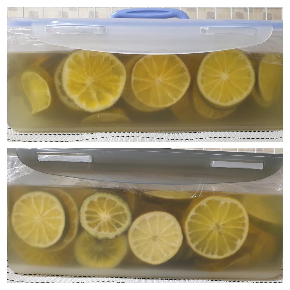 한라봉 청귤청 5키로