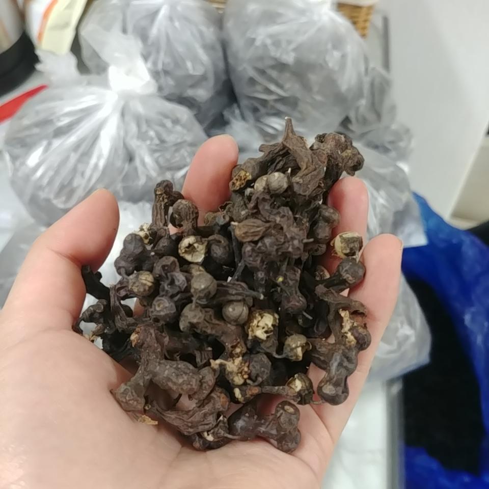 김제에서 직접 재배한 2021년 햇 헛개열매(저렴한 헛개나무와 비교X)