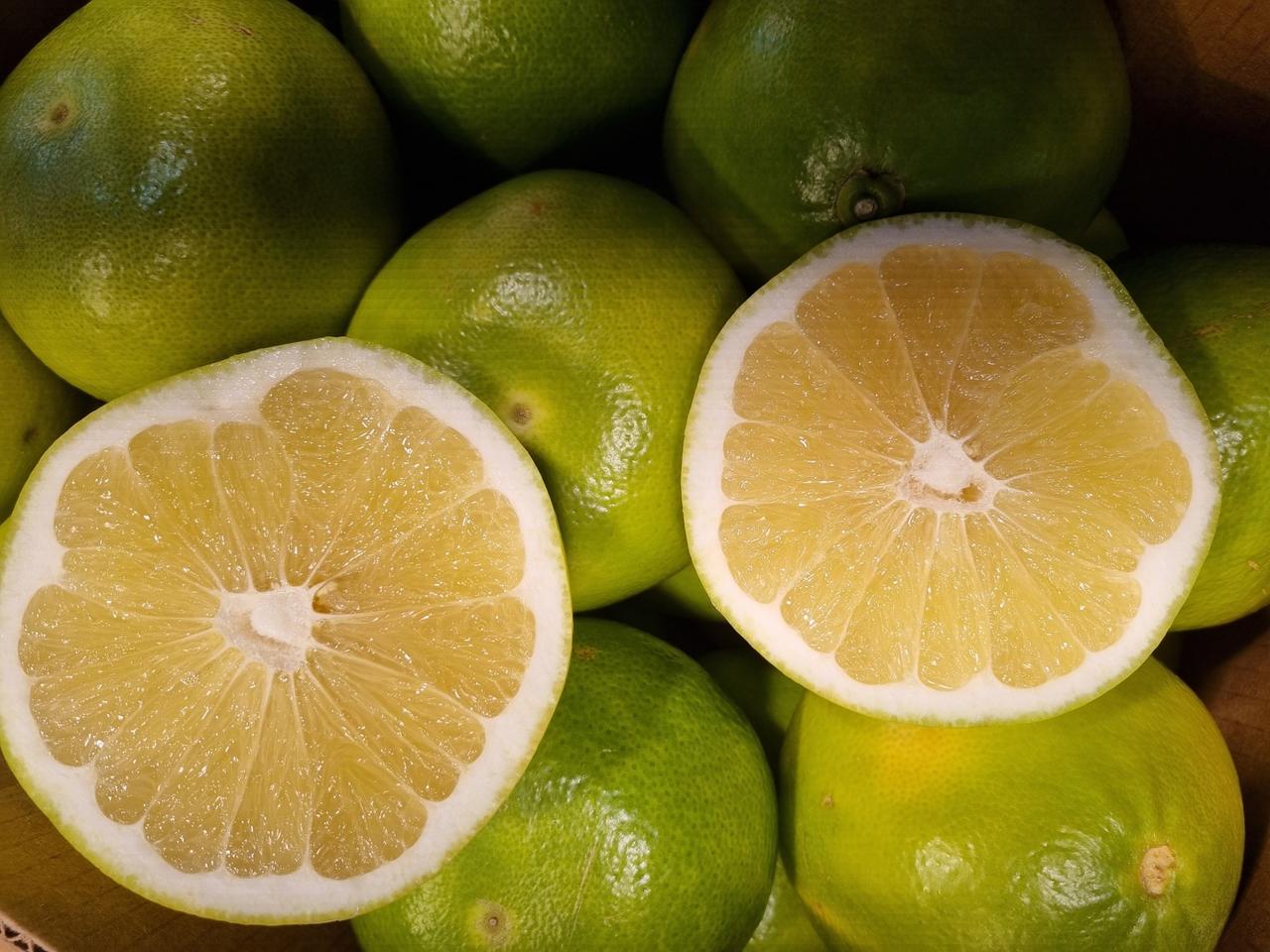 메로골드청자몽16kg23과