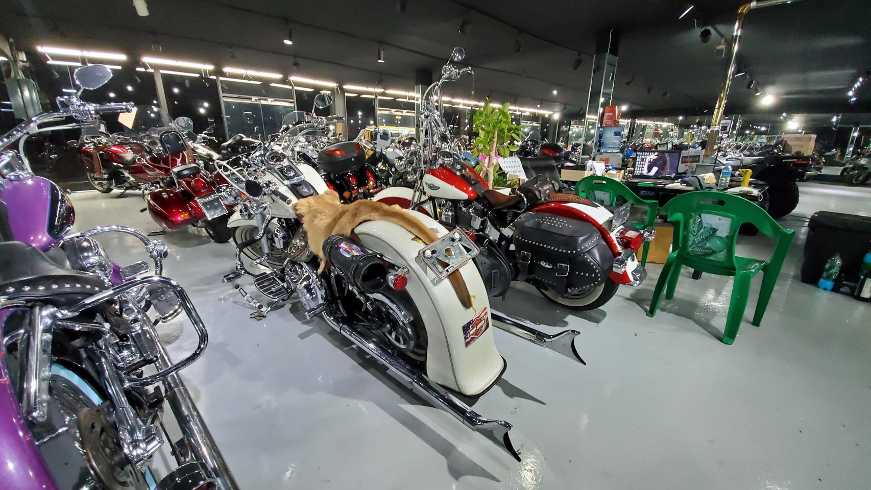 간지 팻보이 상태최상 라이더존소흘 전액할부도 가능합니다.