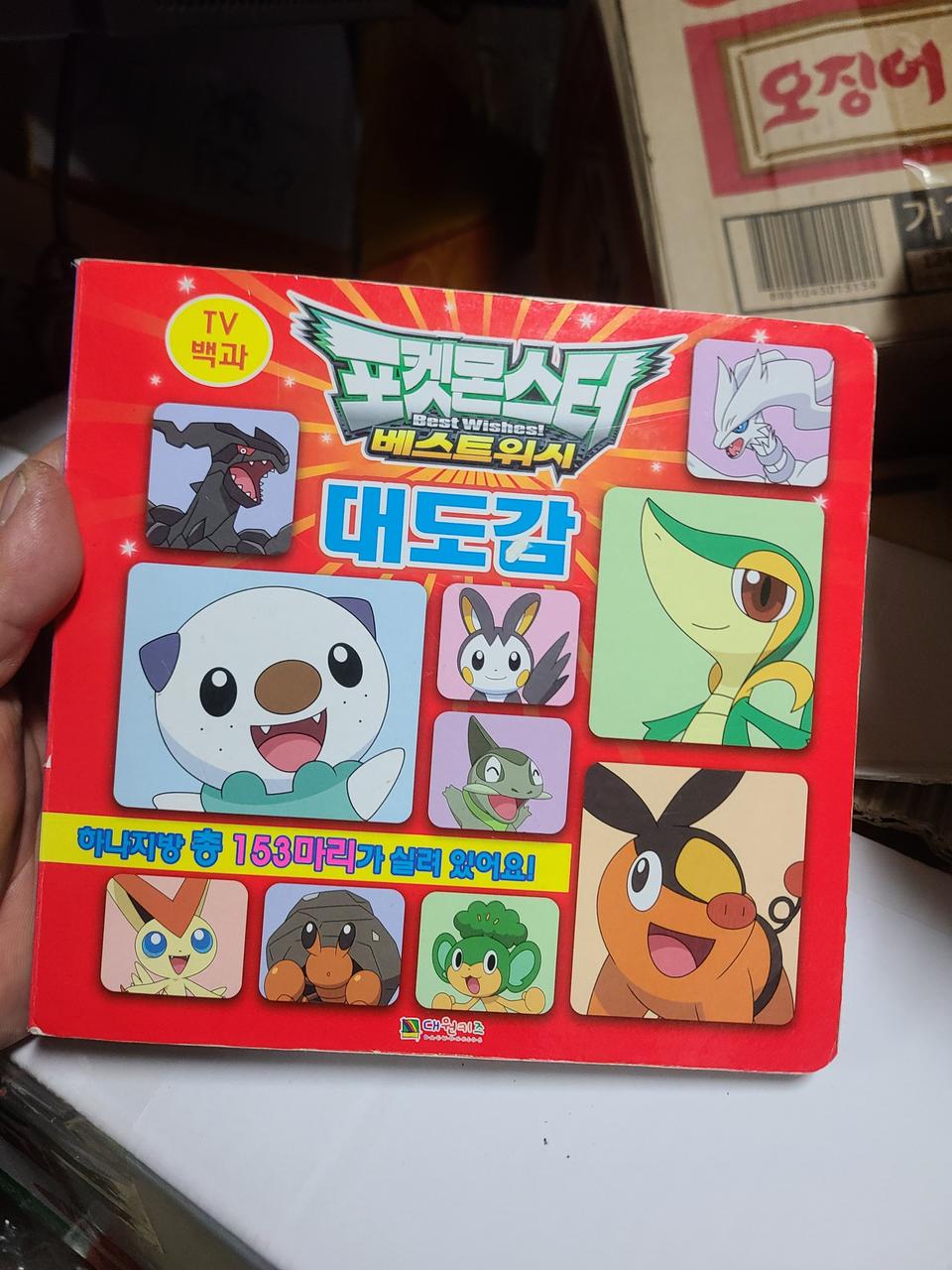 포켓몬스터 베스트위시 대도감TV백과 대원키즈.12년초판