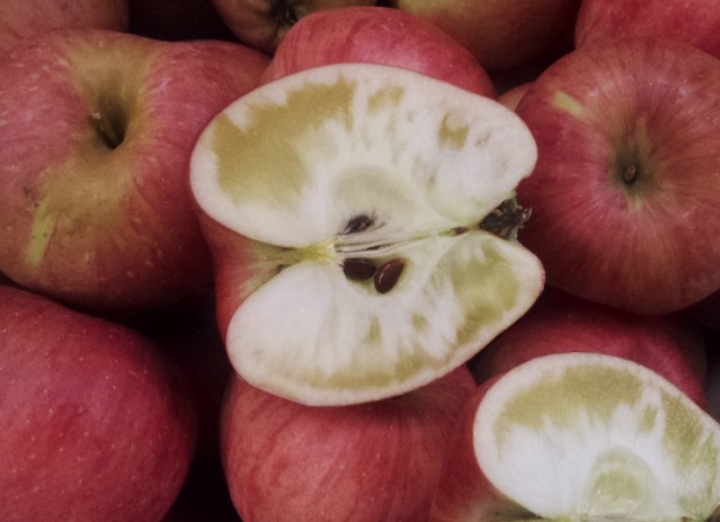 꿀사과10kg 43~55과 가정용 부사