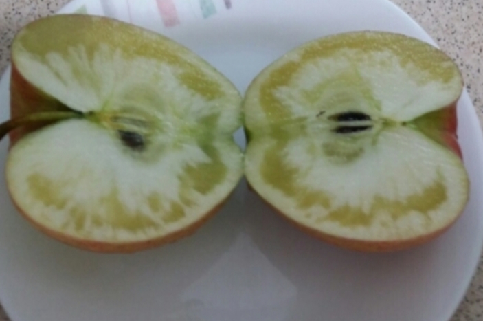 청송꿀사과 10kg 산지직송 고당도