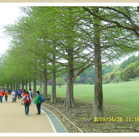 헬로2000의 프로필 이미지
