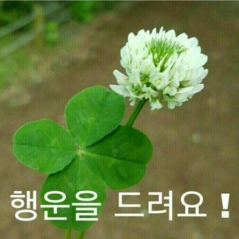 집안정리777의 프로필 이미지