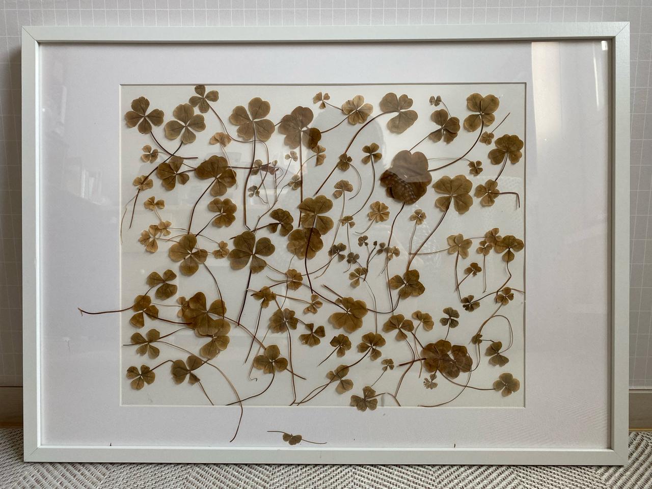 돈이 들어오는 행운의 네잎클로버 액자