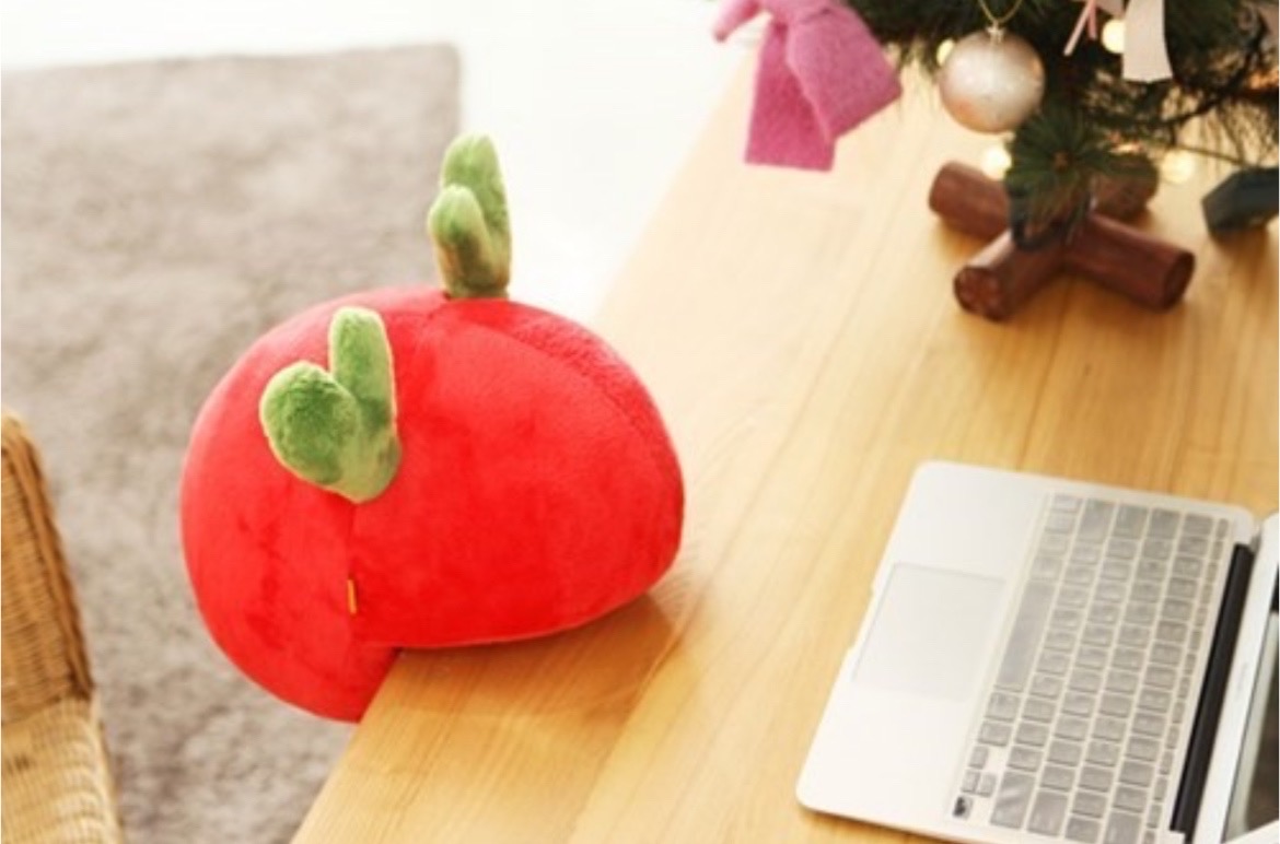 윤앤수 케어디스크 쿠션