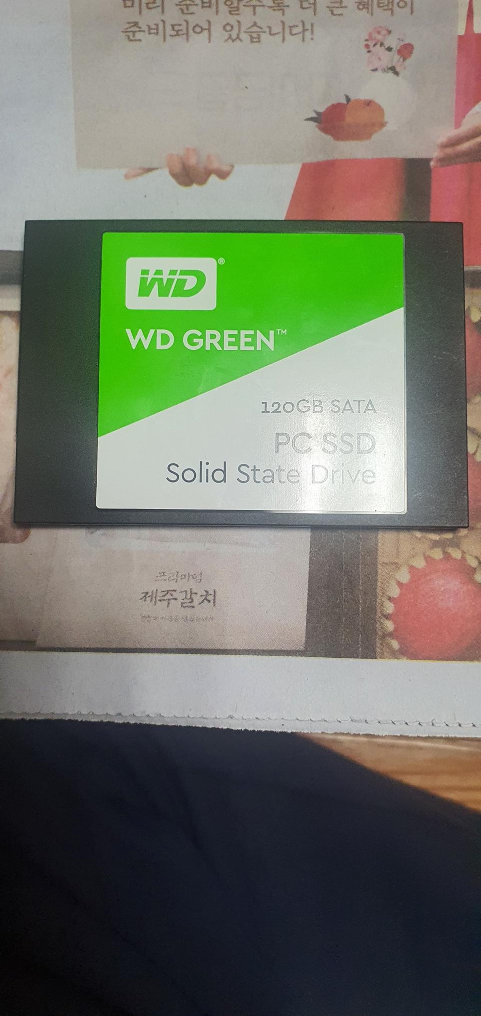 SSD WD120