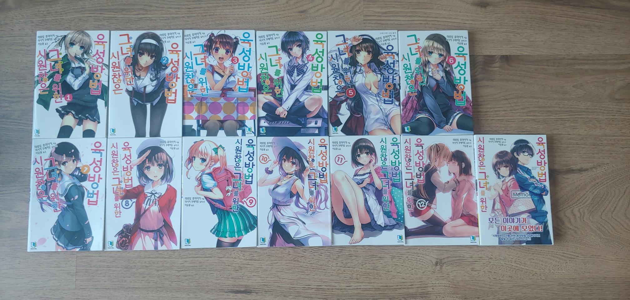 시원치않은 그녀를 위한 육성방법 라이트 노벨