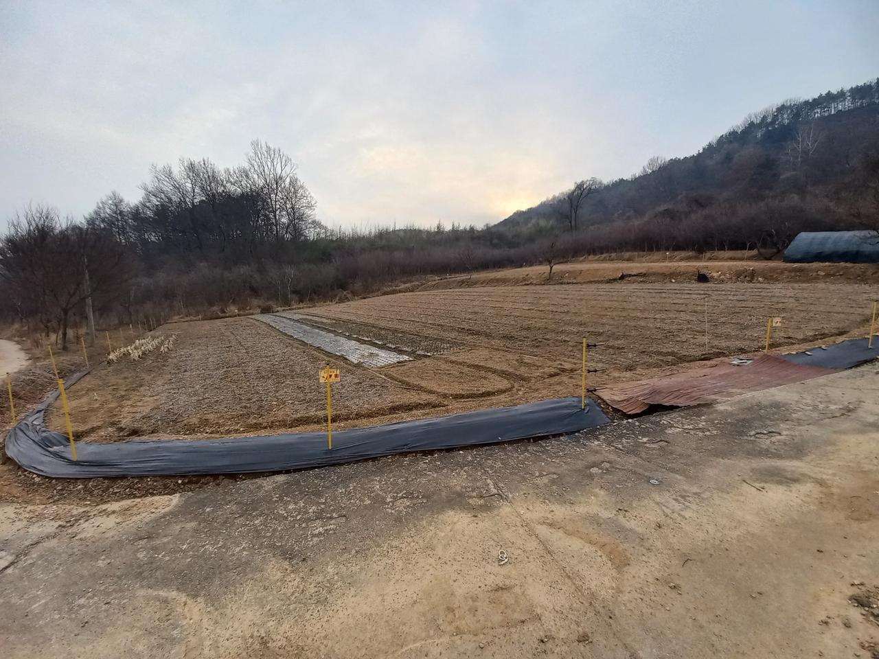 개인//전주시골땅(밭) 매매(전원주택,요양시설 추천)