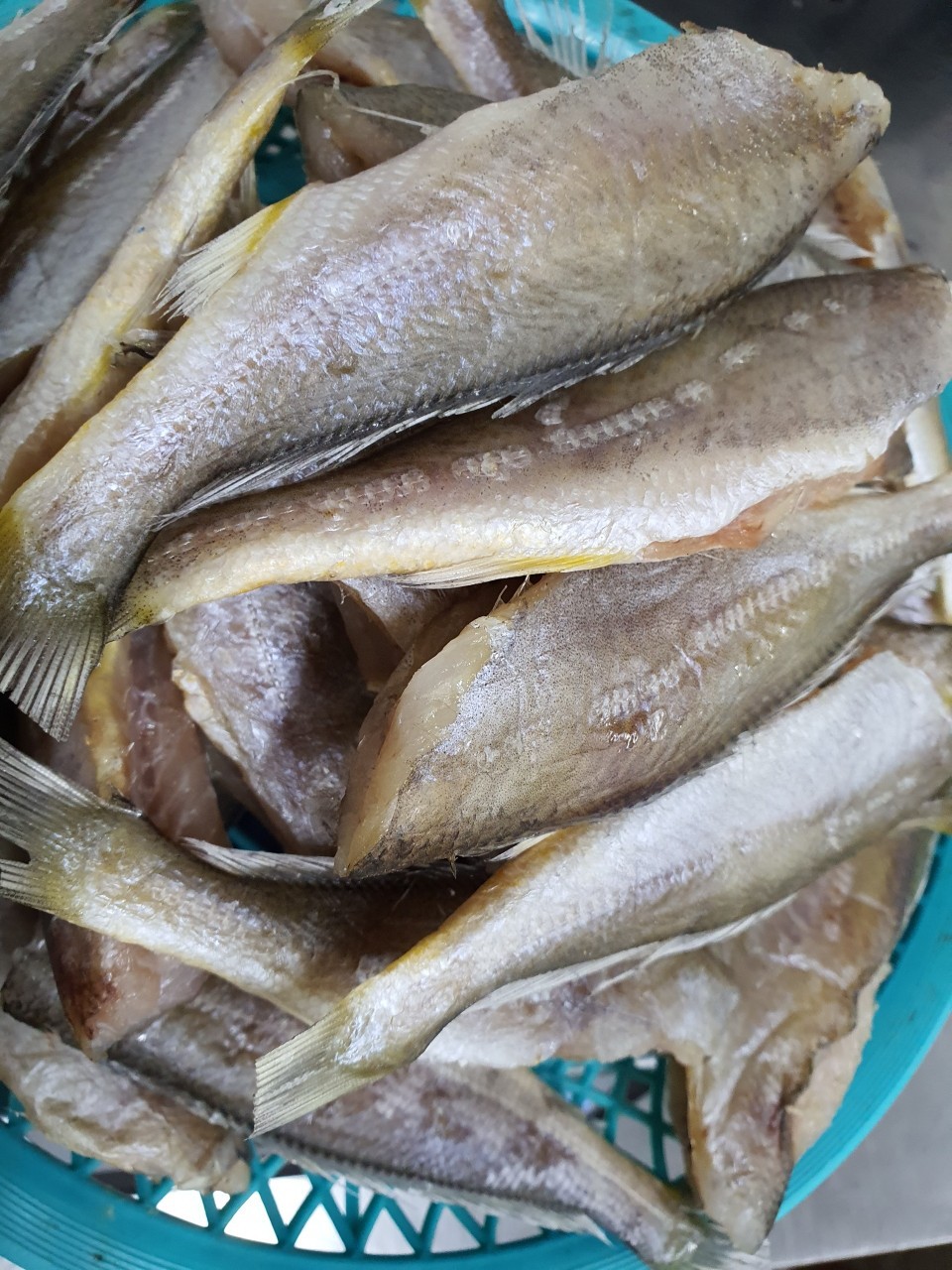 영광법성포손질두절굴비2키로