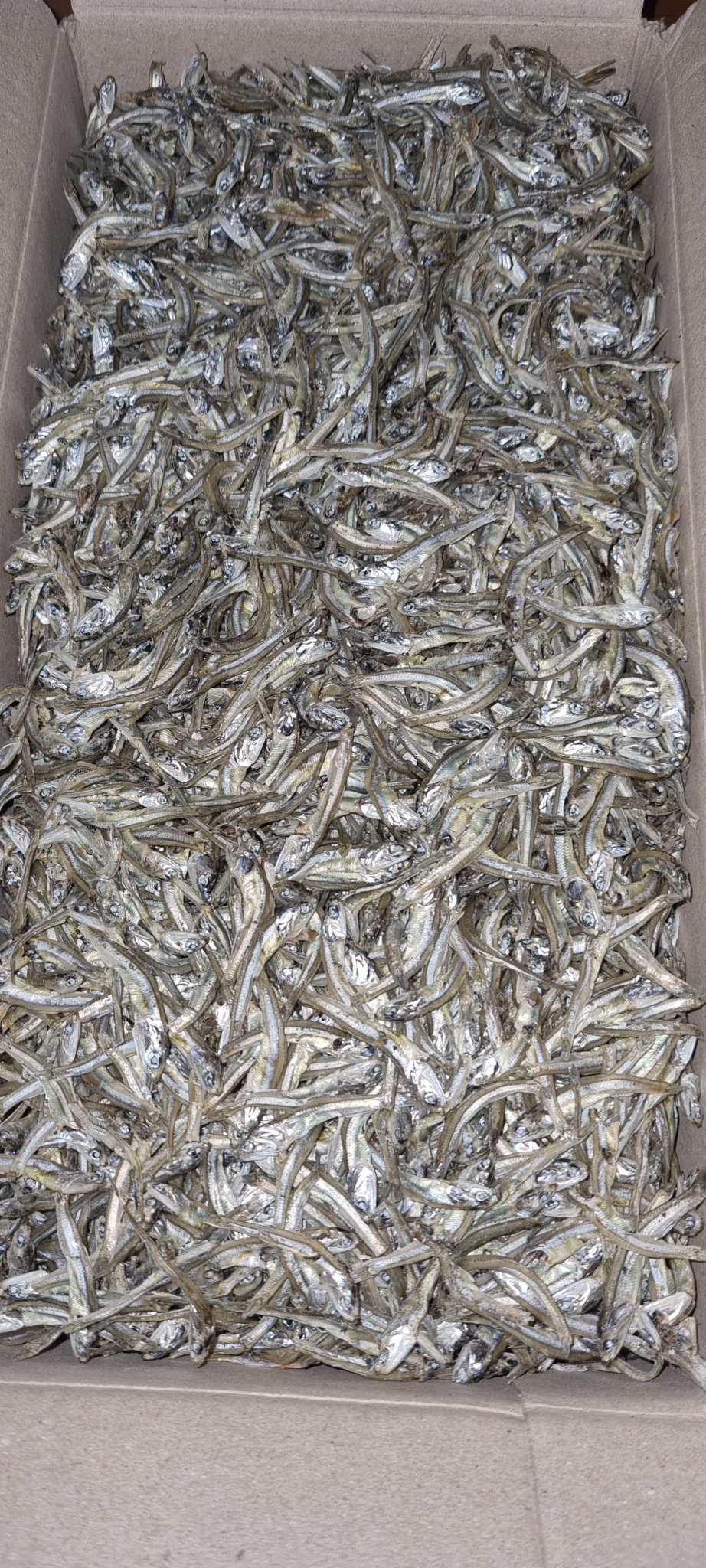 멸치 (국산) 1.5kg