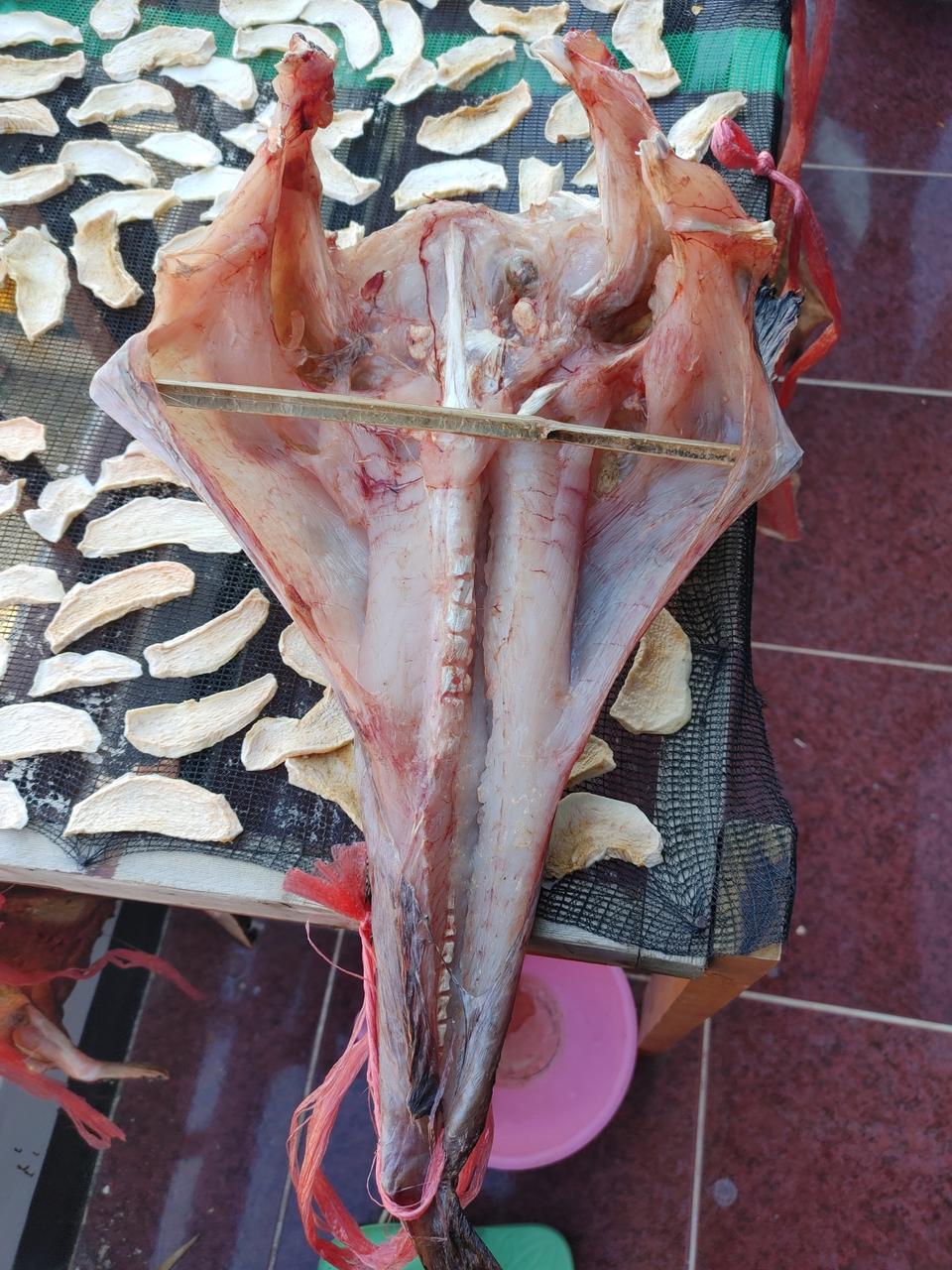 반건조아귀2마리15000