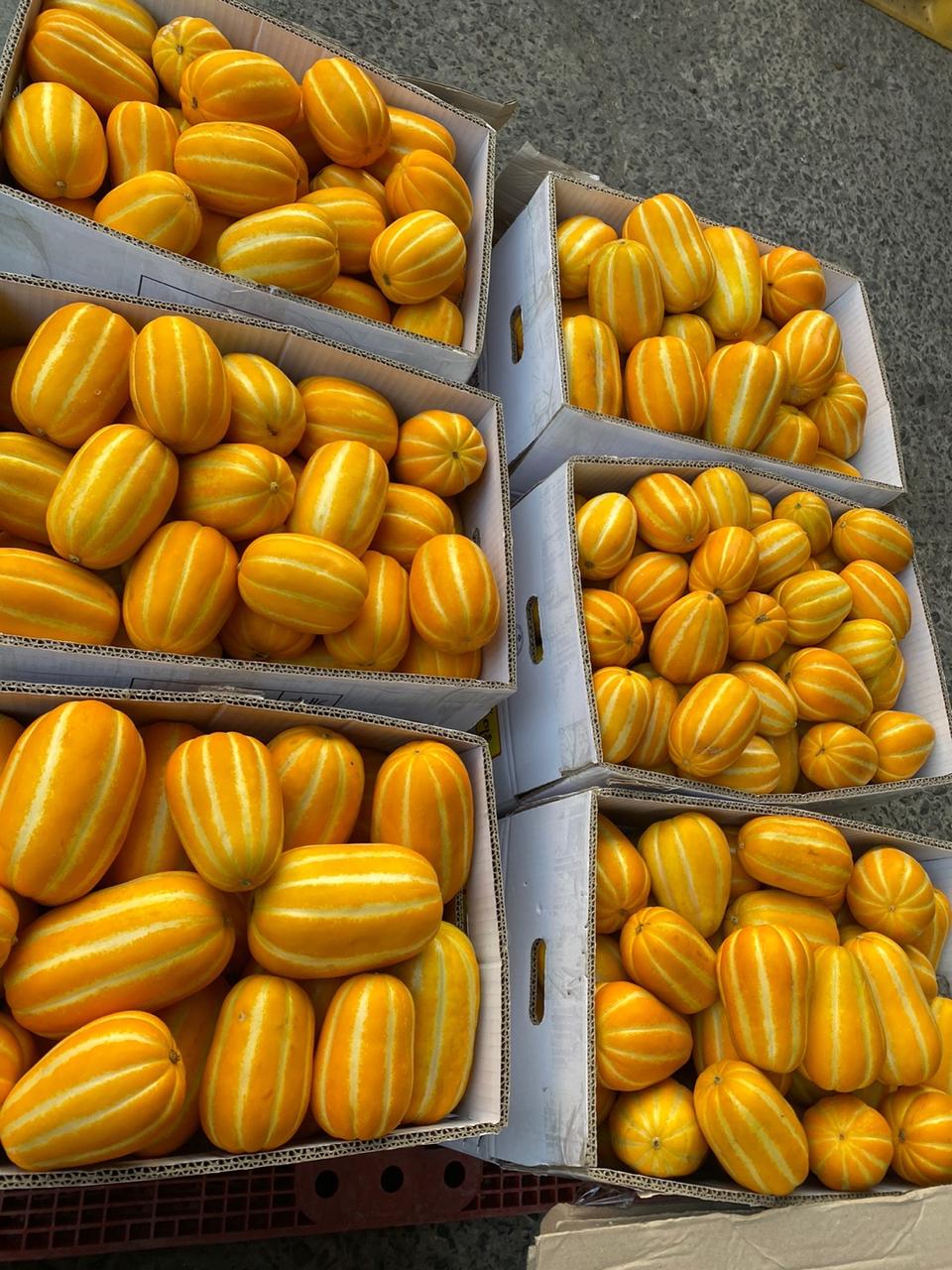 성주 참외 가정용2키로