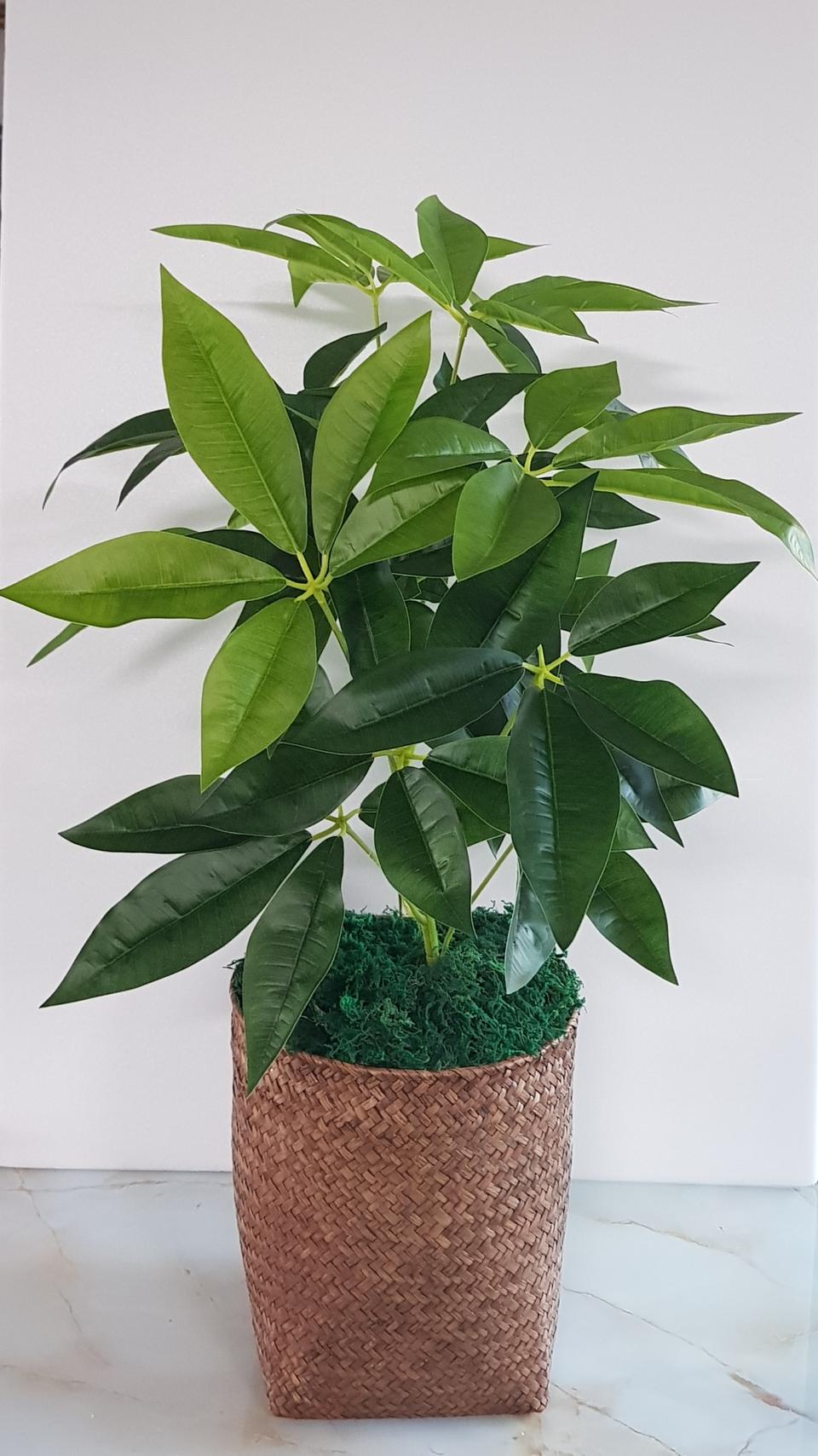 파키라라탄대형화분장식데코세트,인테리어소품, 조화