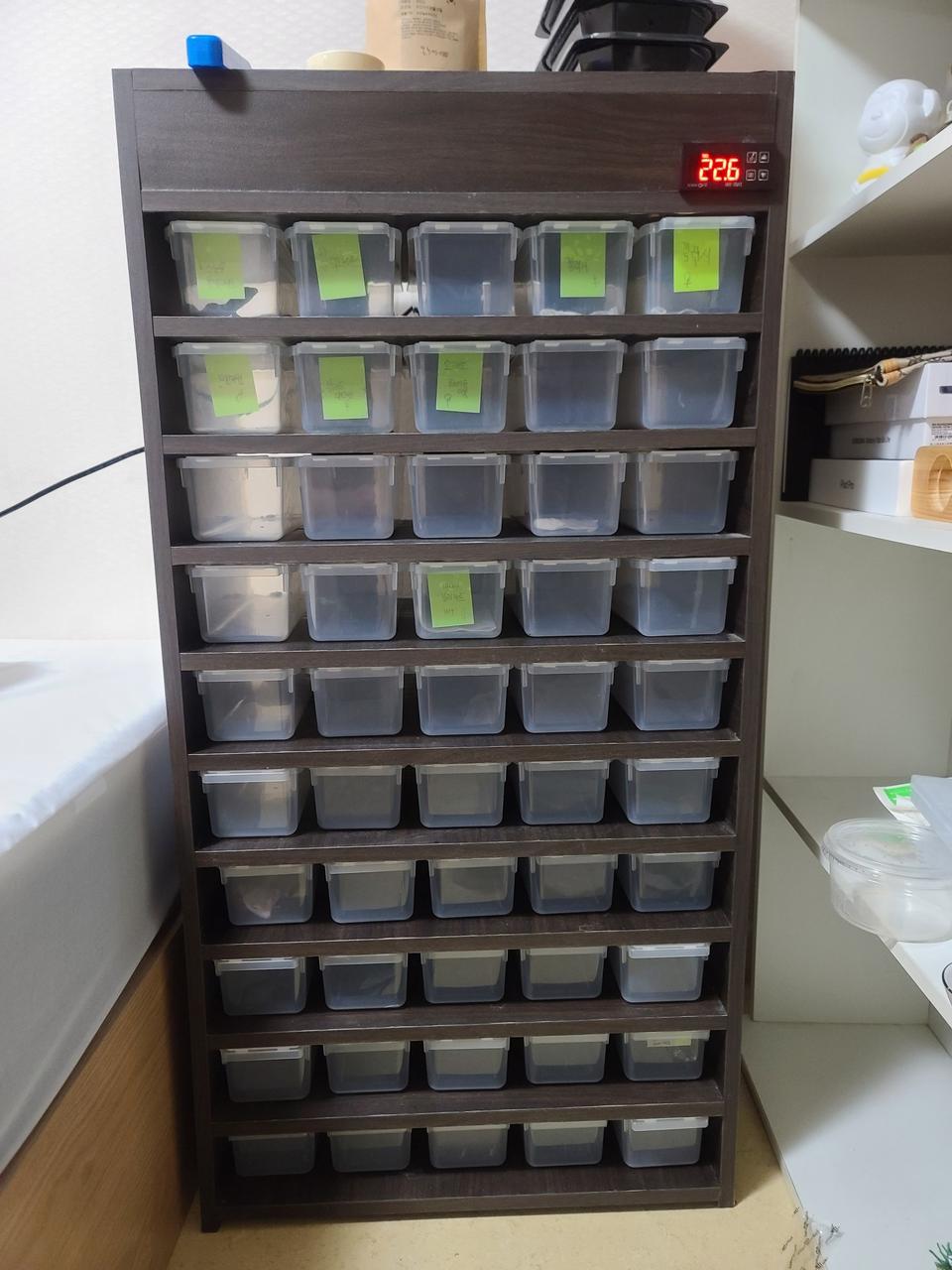 애완곤충용&파충류 렉사육장