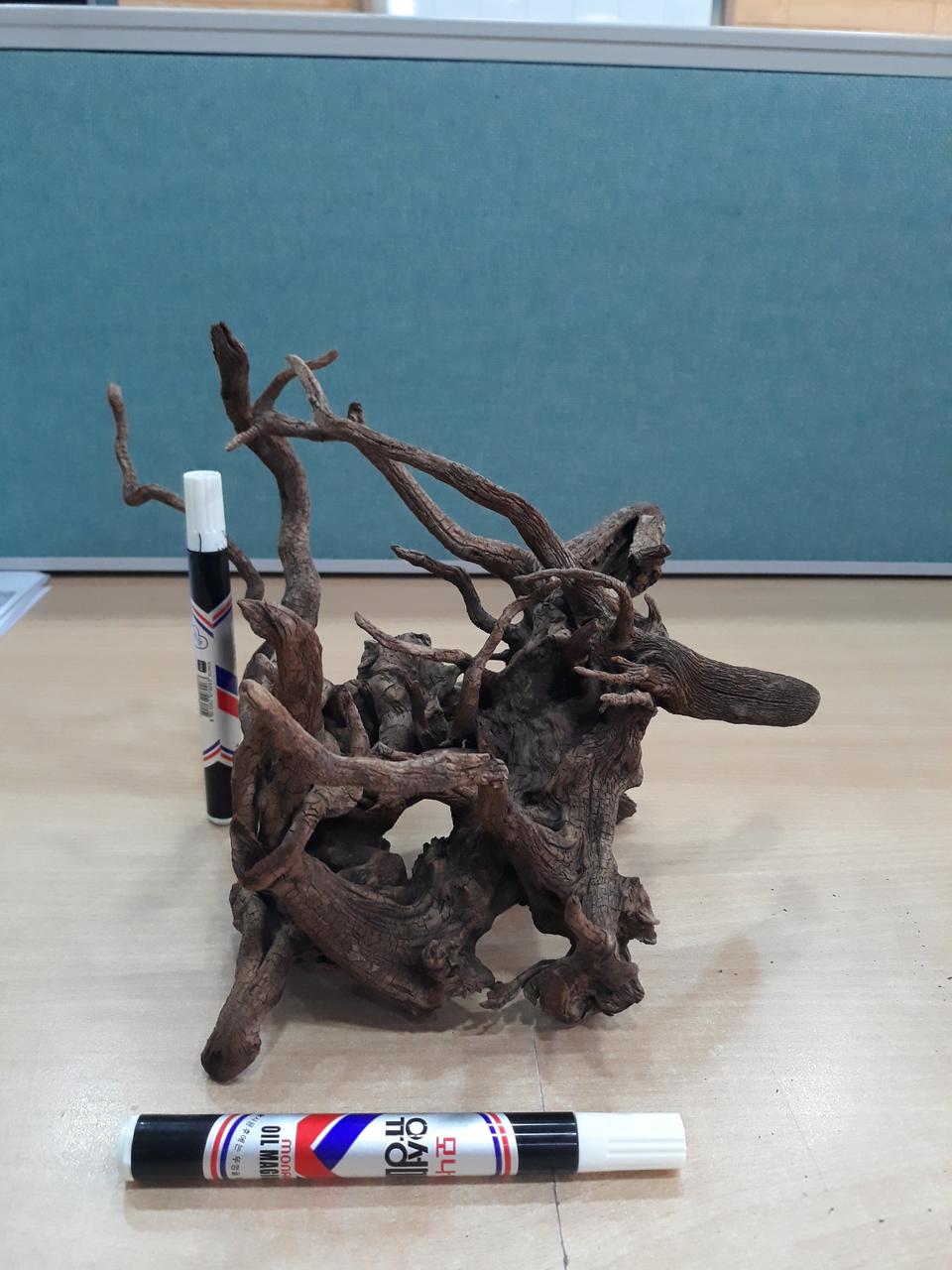 수족관 용품 유목