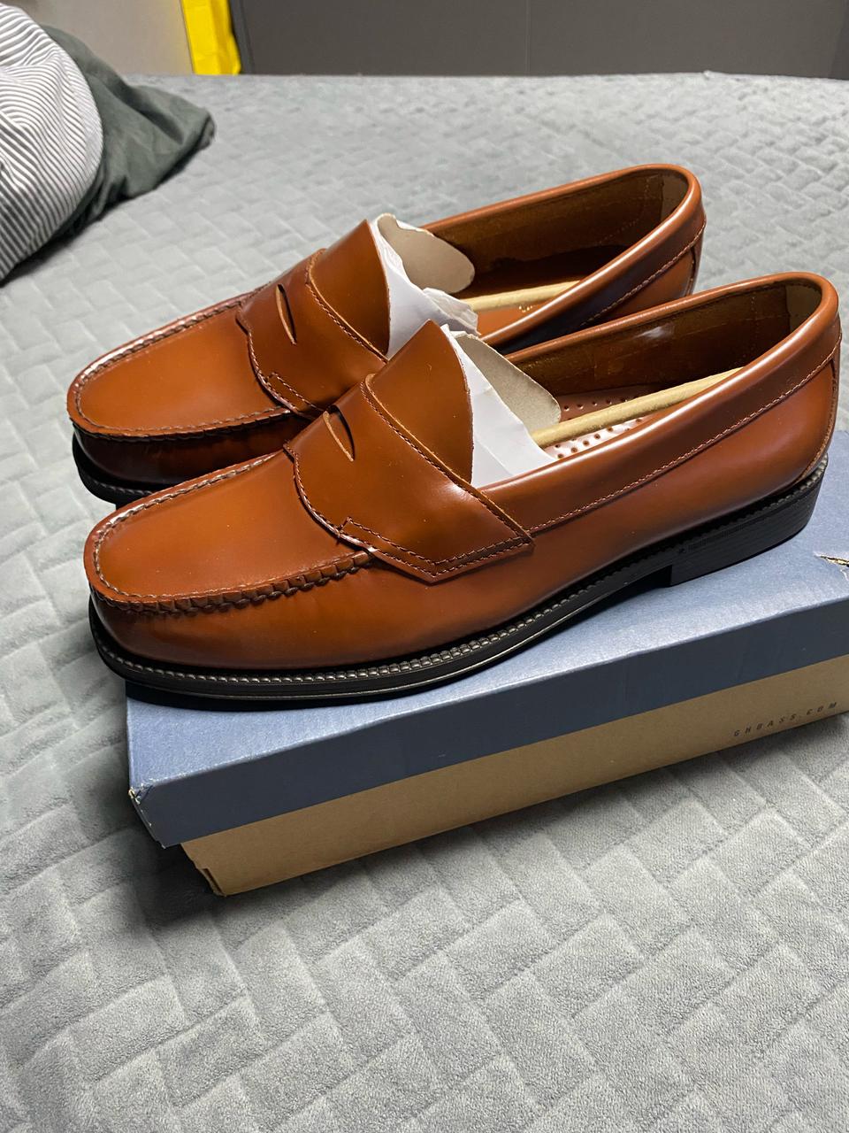 바스로퍼 브라운