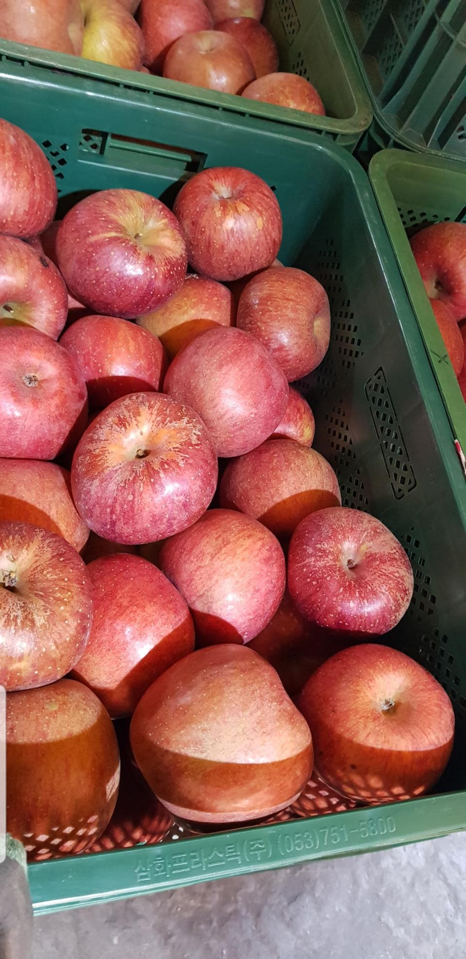 꿀사과 판매합니다