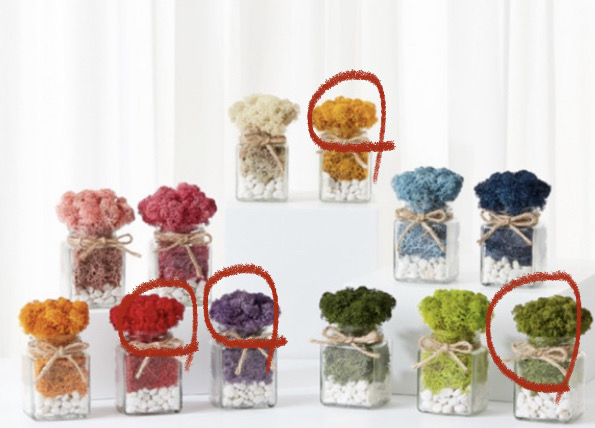 스칸디아모스 4개에 16000원