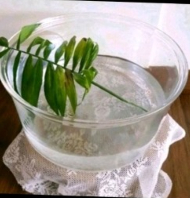 튼튼한 어항. 내열유리볼