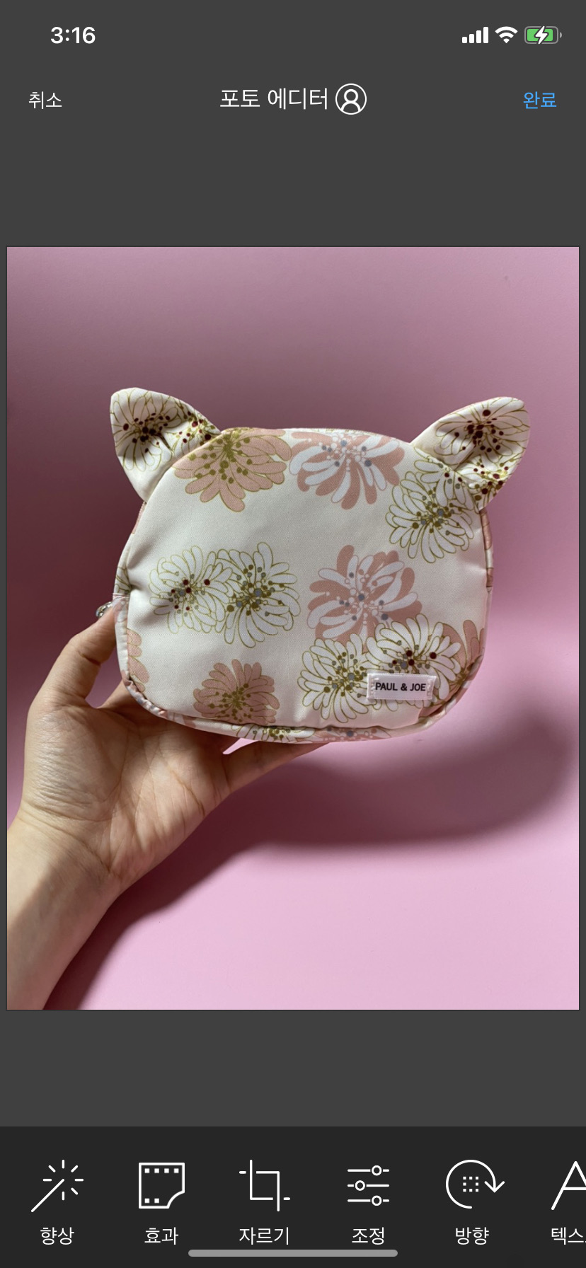 폴앤조 고양이 모양 파우치