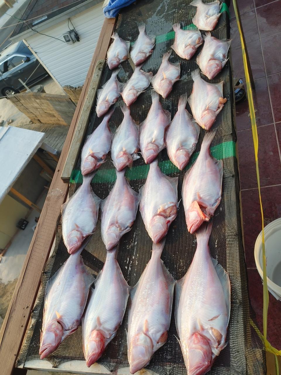 제수용가자미  가자미4~5마리 만원