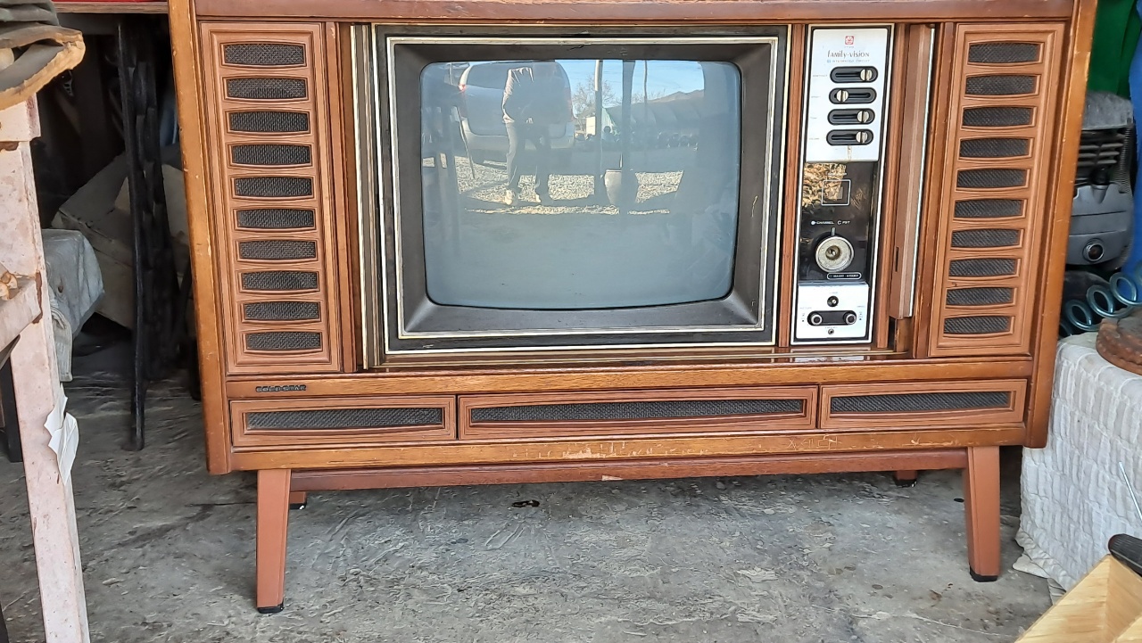 자바라 금성 흑백 텔레비젼