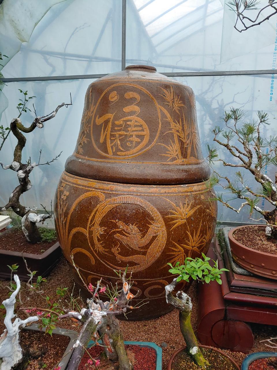 중국도자기 초대형 단지